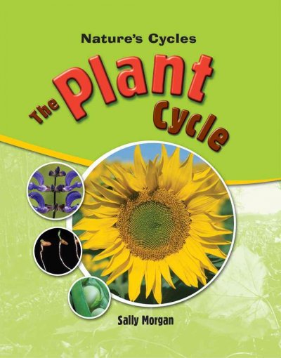 The plant cycle / Sally Morgan.