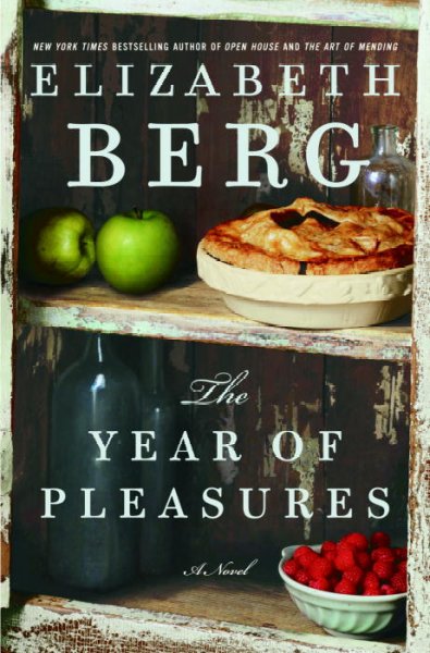 Year of pleasures, The : a novel.