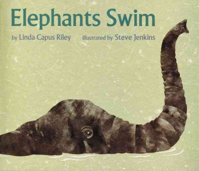 Elephants Swim.