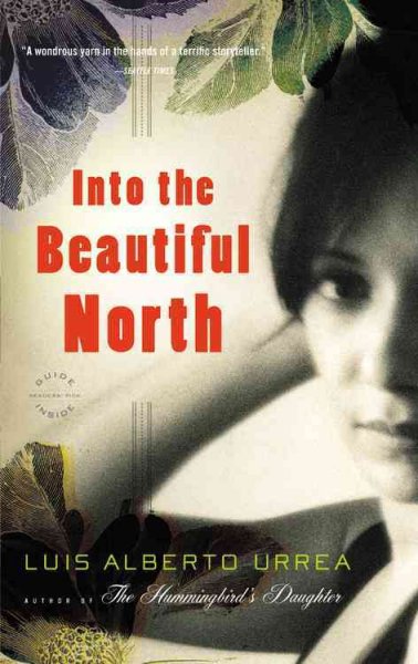 Into the beautiful North : a novel.