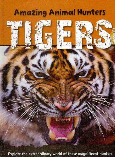 Tigers / Sally Morgan.