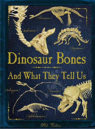 Dinosaur bones : and what they tell us / Rob Colson ; illustrated by Elizabeth Gray and Steve Kirk.