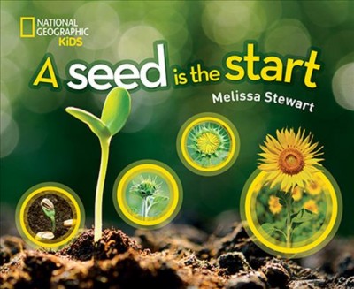 A seed is the start / Melissa Stewart.