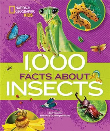 1,000 facts about insects / by Nancy Honovich.