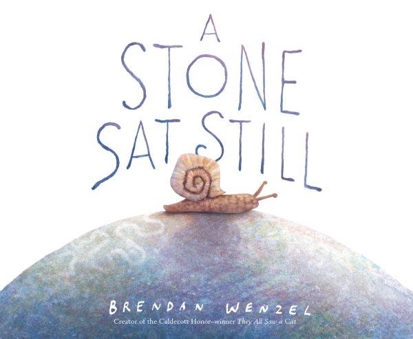 A stone sat still [electronic resource]. Brendan Wenzel.