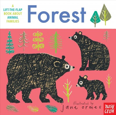 Forest / [text by Nosy Crow Ltd. ; illustrated by Jane Ormes]