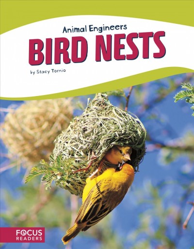 Bird nests / by Stacy Tornio.