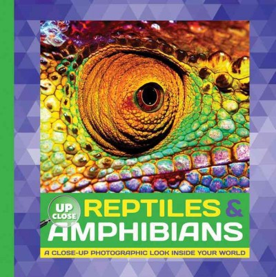 Reptiles & amphibians : a close-up photographic look inside your world / written by Heidi Fiedler.