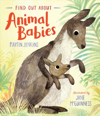 Find out about animal babies / Martin Jenkins ; illustrated by Jane McGuinness.