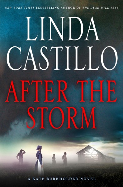 After the storm / Linda Castillo.