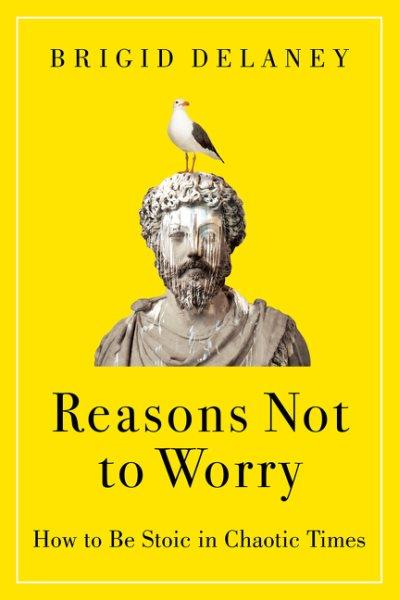 Reasons not to worry : how to be stoic in chaotic times / Brigid Delaney.