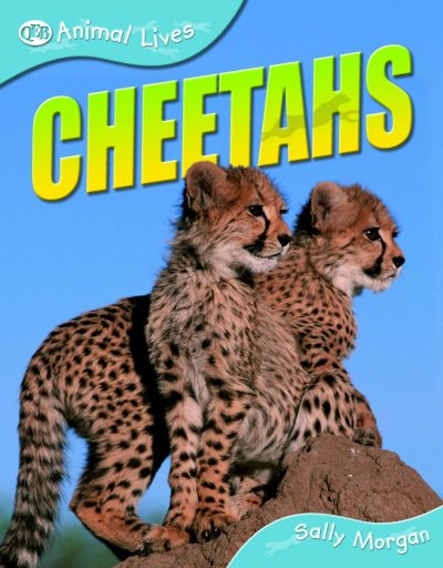 Cheetahs / Sally Morgan.