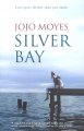 Silver Bay  Cover Image