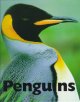Penguins  Cover Image