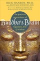 Buddha's brain the practical neuroscience of happiness, love, & wisdom  Cover Image