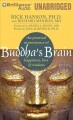 Buddha's brain the practical neuroscience of happiness, love & wisdom  Cover Image
