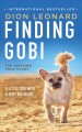 Finding Gobi Cover Image
